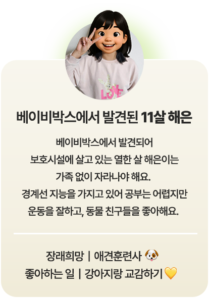 베이비박스에서 발견된 11살 해은